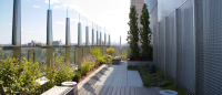 Nursing school roof terrace